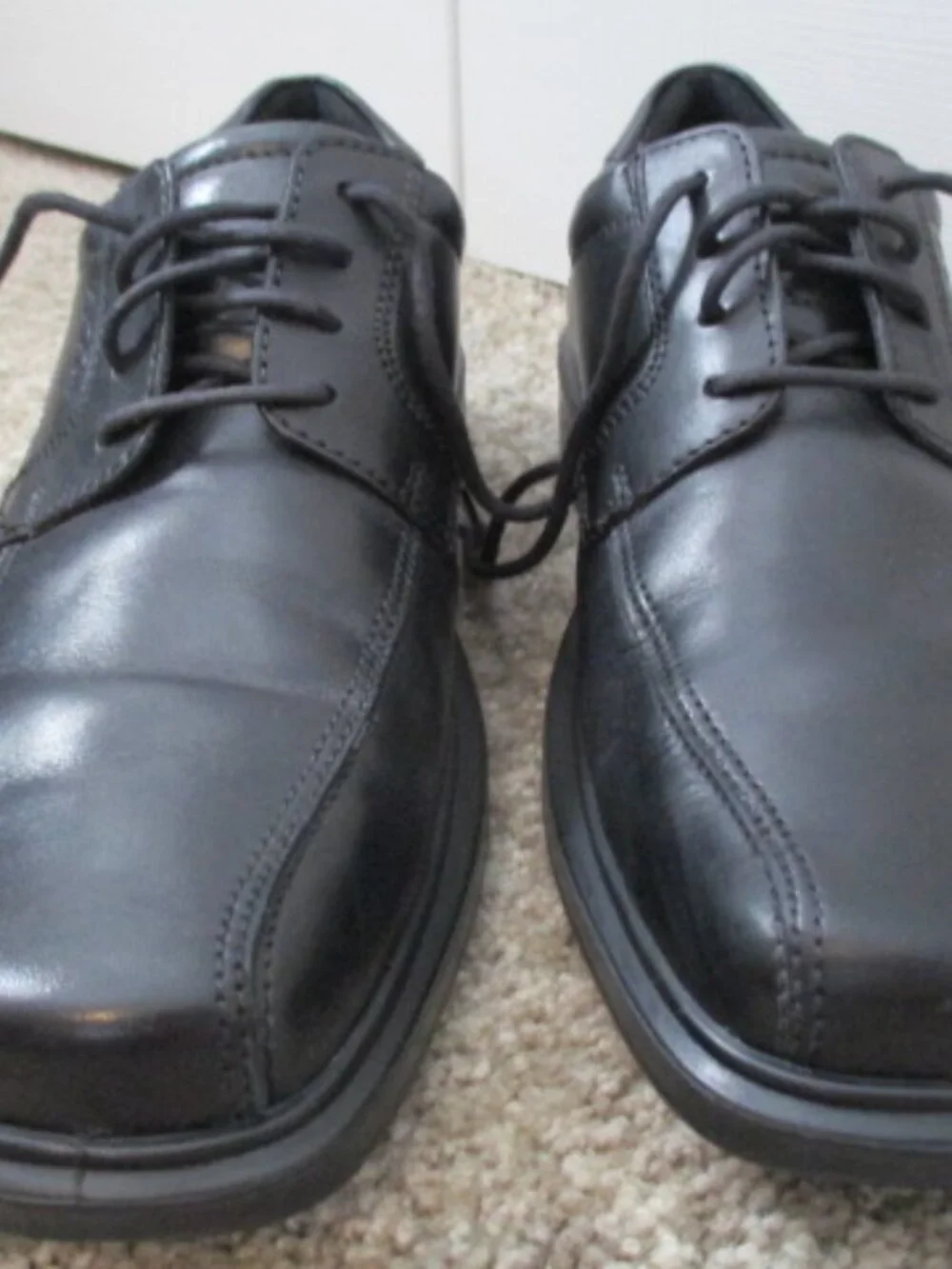 Ecco these are